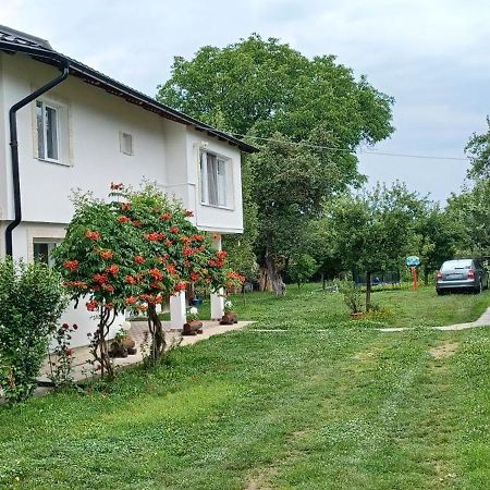 Casa Pandrea Guest House คือร์ตีโชอารา ภายนอก รูปภาพ