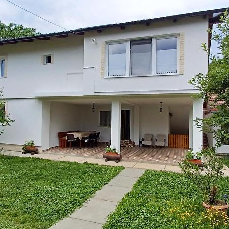 Casa Pandrea Guest House คือร์ตีโชอารา ภายนอก รูปภาพ