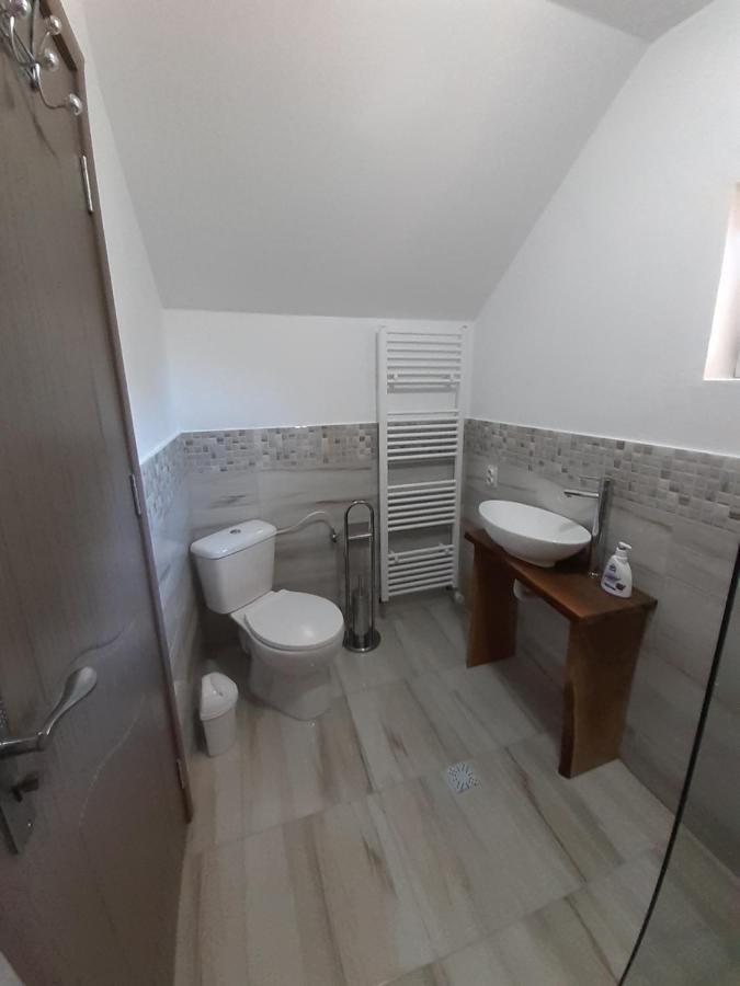 Casa Pandrea Guest House คือร์ตีโชอารา ภายนอก รูปภาพ