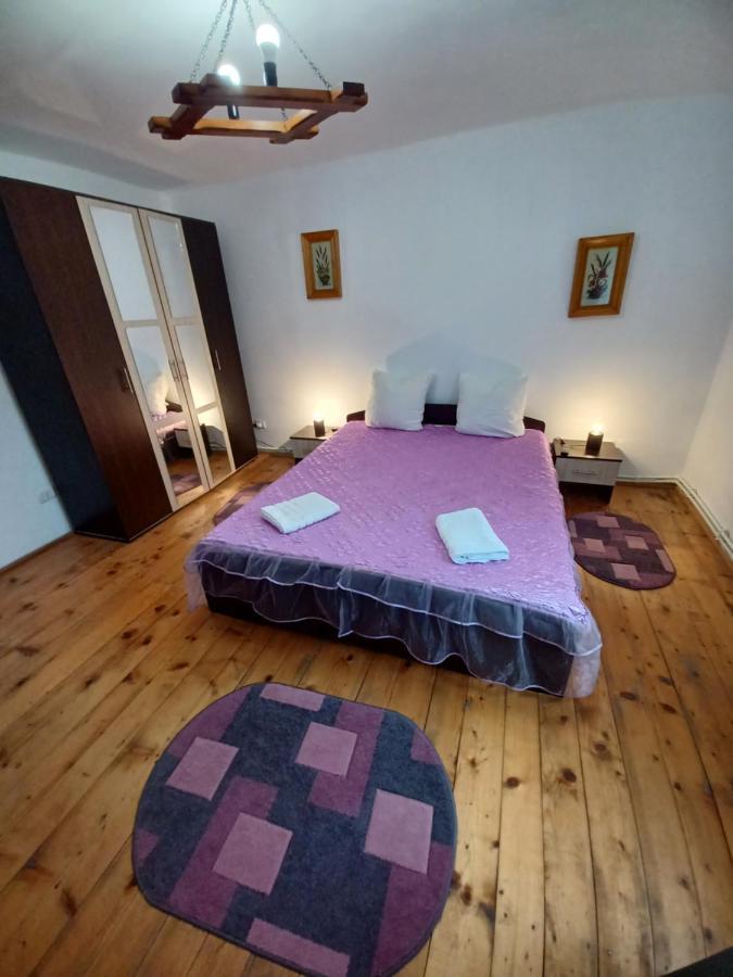 Casa Pandrea Guest House คือร์ตีโชอารา ภายนอก รูปภาพ