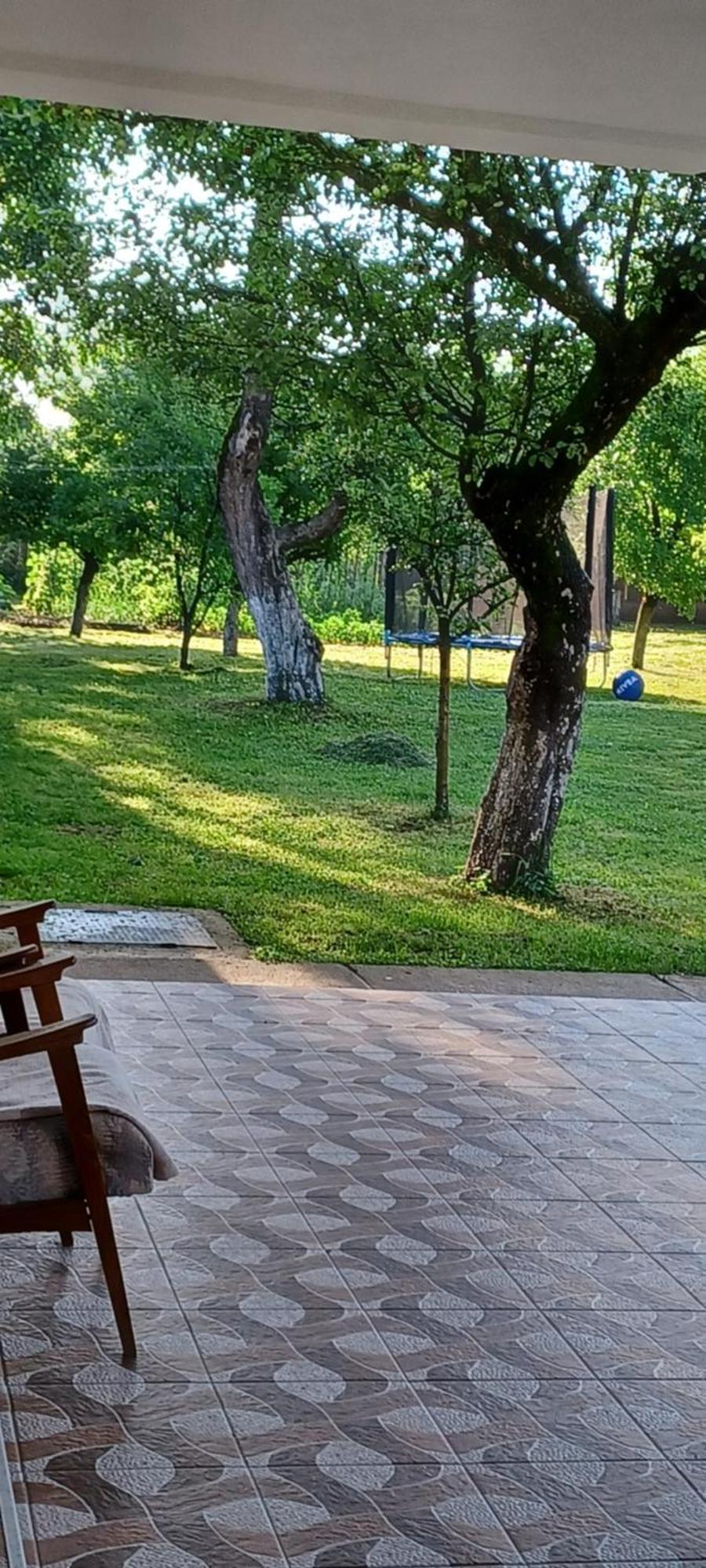 Casa Pandrea Guest House คือร์ตีโชอารา ภายนอก รูปภาพ